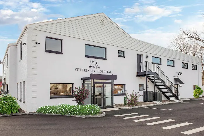 Spot On Veterinary Hospital & Hotel - Stamford Picture 6
