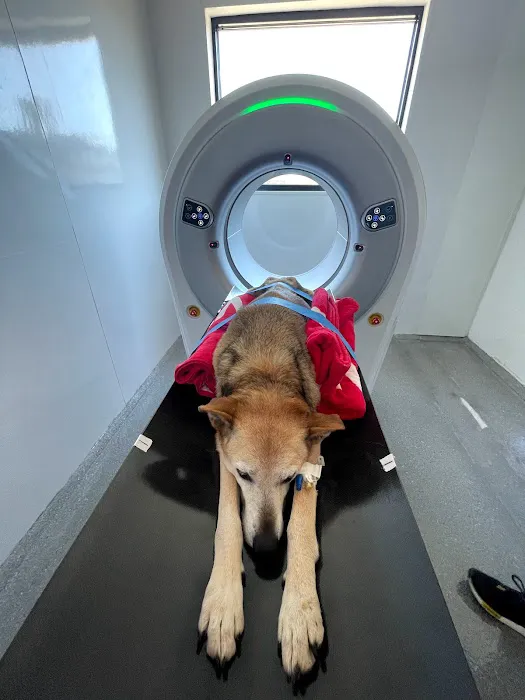 Spot On Veterinary Hospital & Hotel - Stamford Picture 1
