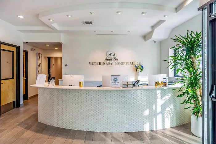 Spot On Veterinary Hospital & Hotel - Stamford Picture 4