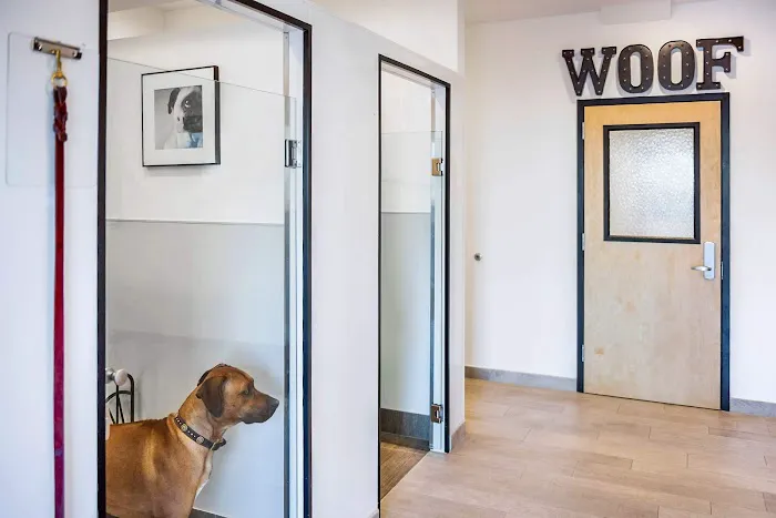 Spot On Veterinary Hospital & Hotel - Stamford Picture 7