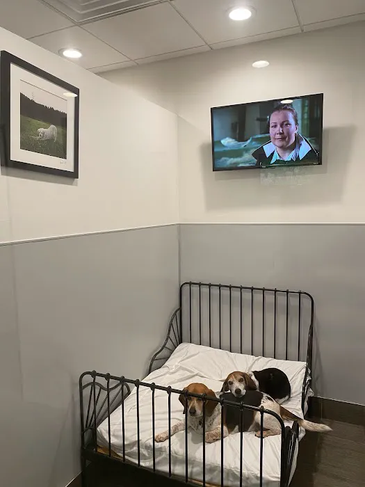 Spot On Veterinary Hospital & Hotel - Stamford Picture 3