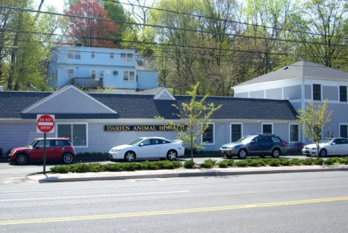 VCA Darien Animal Hospital Picture 7