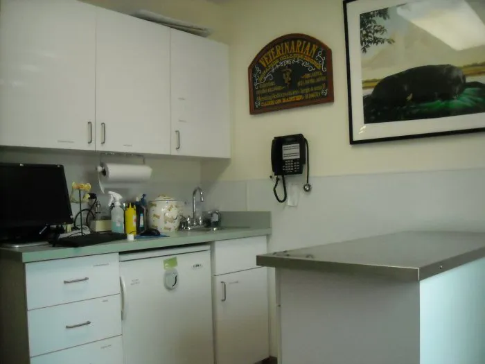 VCA Darien Animal Hospital Picture 10