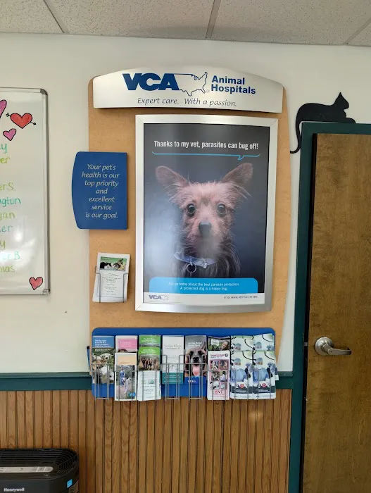 VCA Darien Animal Hospital Picture 5