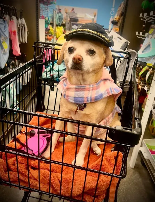 Petco Picture 10