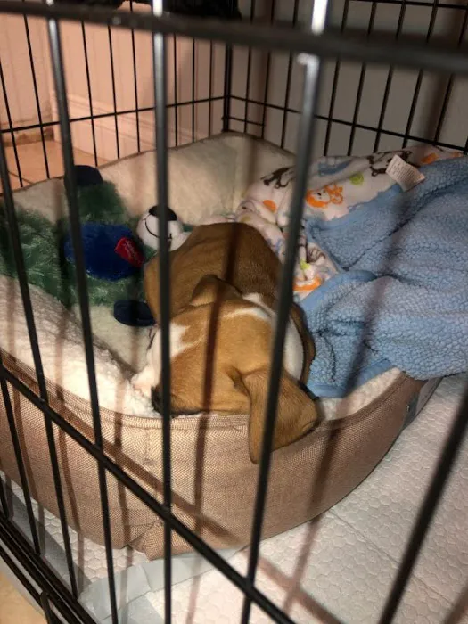 Petco Picture 6