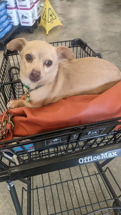 Petco Picture 2