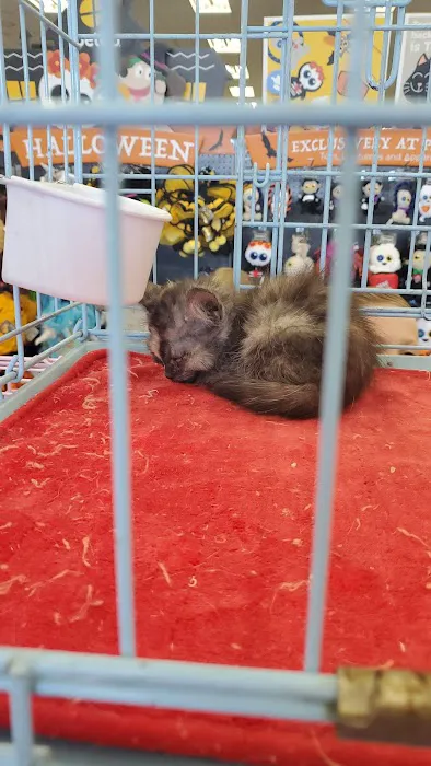 Petco Picture 1