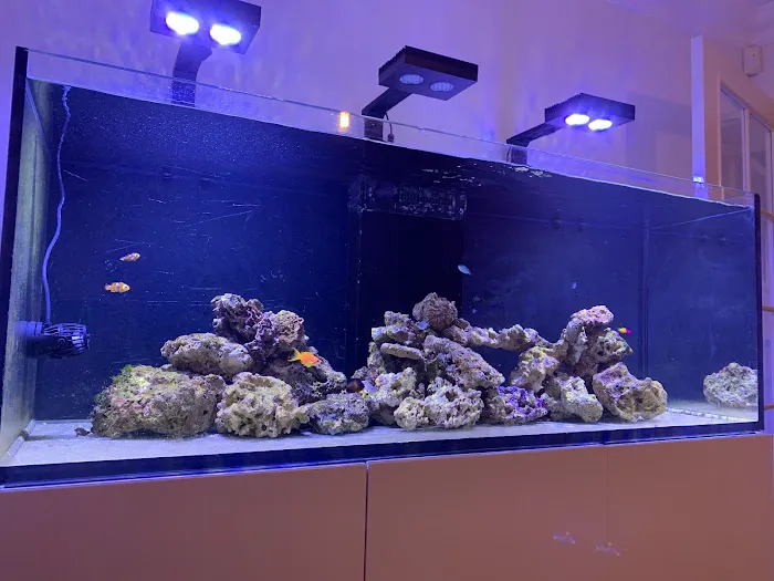 Tropical Waters Picture 2