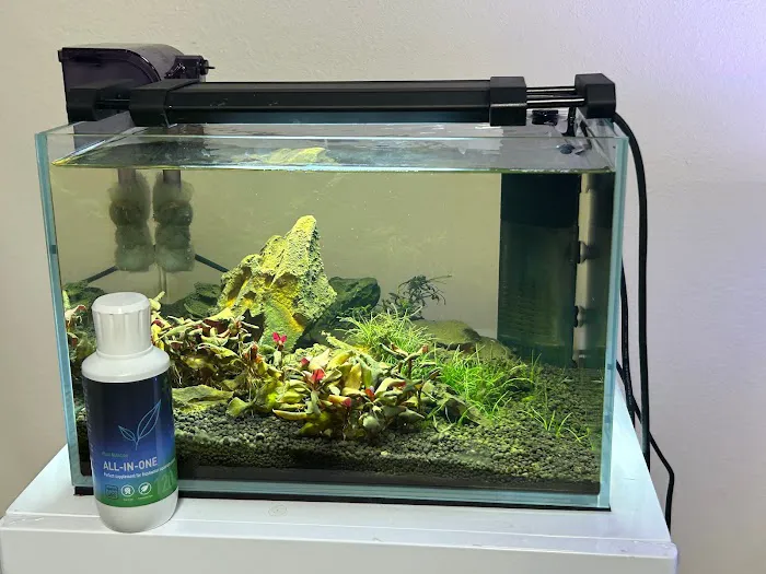 Tropical Waters Picture 6