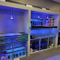 Tropical Waters ico
