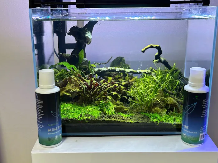 Tropical Waters Picture 7