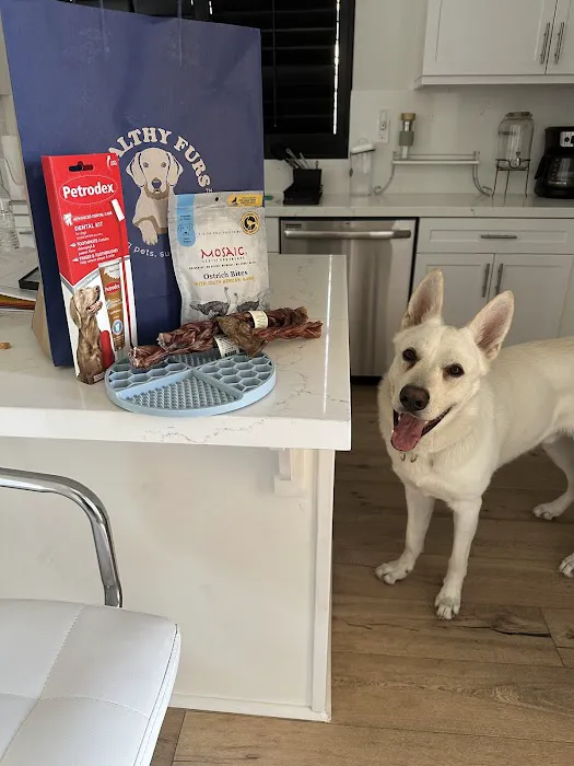 Healthy Furs - Natural Pet Store Picture 10