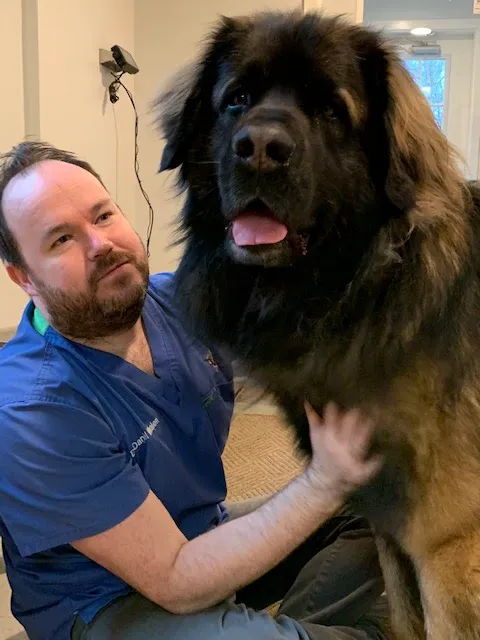 Easton Veterinary Picture 6