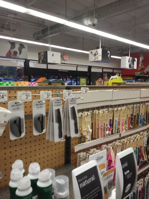 Unleashed by Petco Picture 7