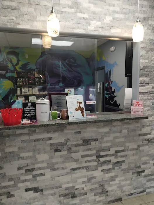 Value Pet Vet Picture 5