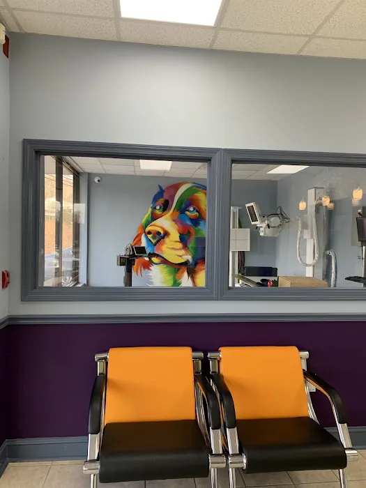 Value Pet Vet Picture 6