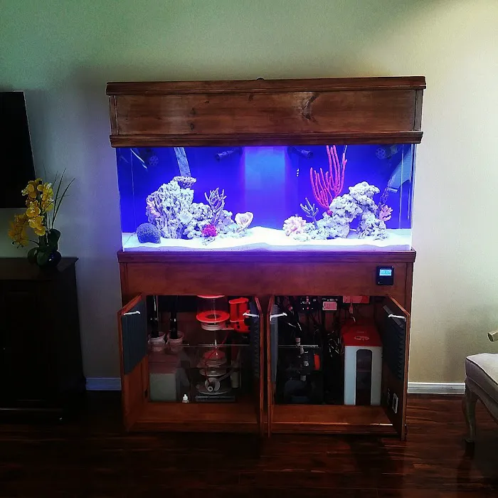 The Aquarium Connection Picture 2