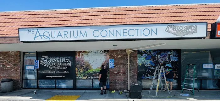 The Aquarium Connection Picture 1