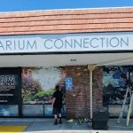 The Aquarium Connection