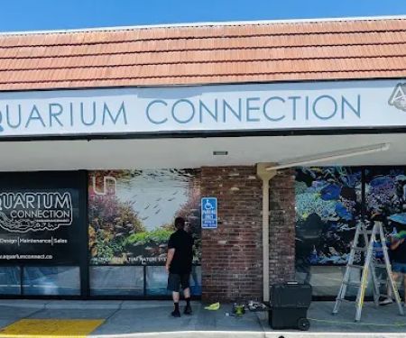 The Aquarium Connection
