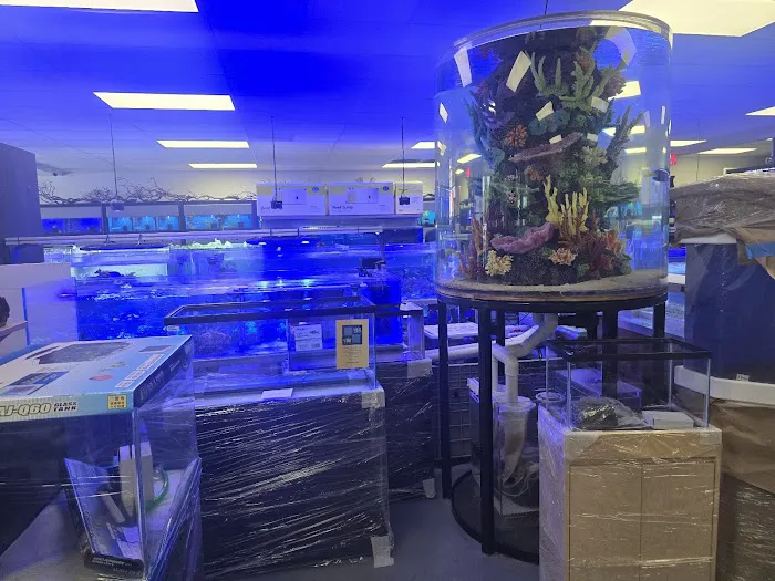 The Aquarium Connection Picture 7