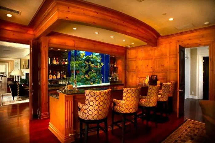 The Aquarium Connection Picture 5
