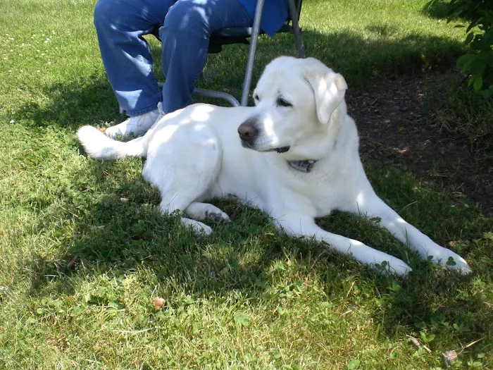 Monroe Town and Country Veterinary Hospital Picture 6