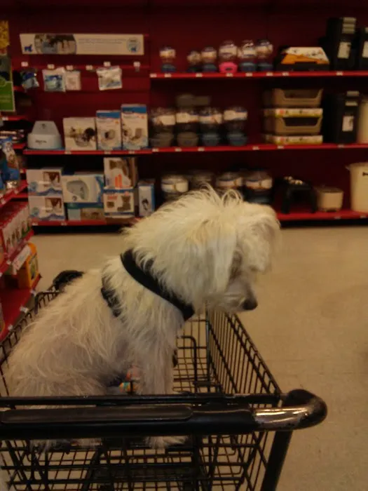 Petco Picture 6