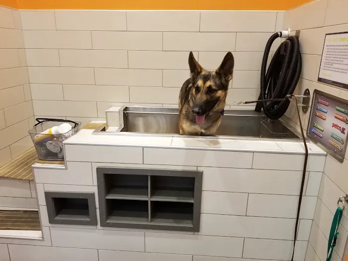 Petco Picture 3