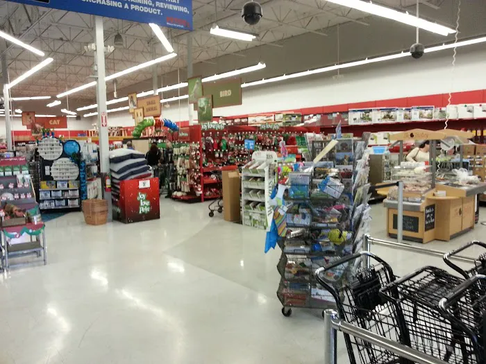 Petco Picture 7