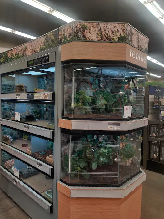 Petco Picture 8