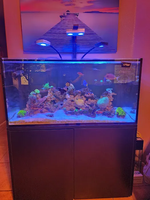 Ocean Aquatics Picture 3