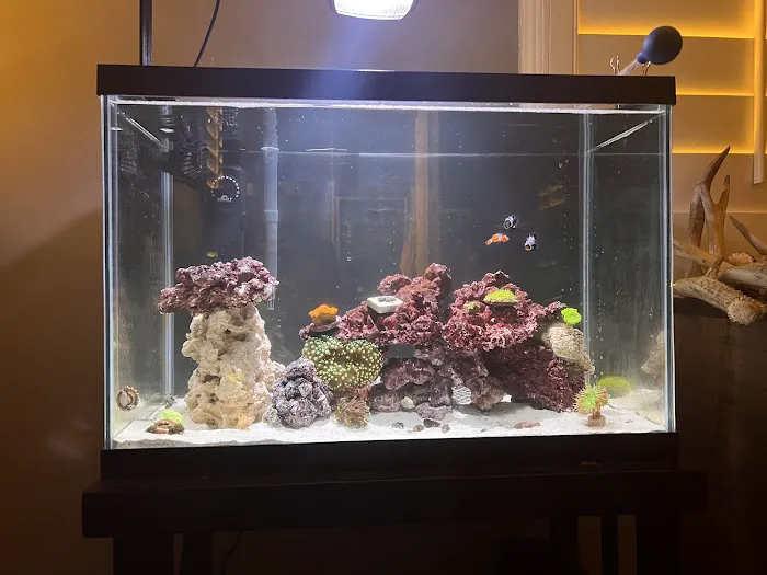 Ocean Aquatics Picture 2