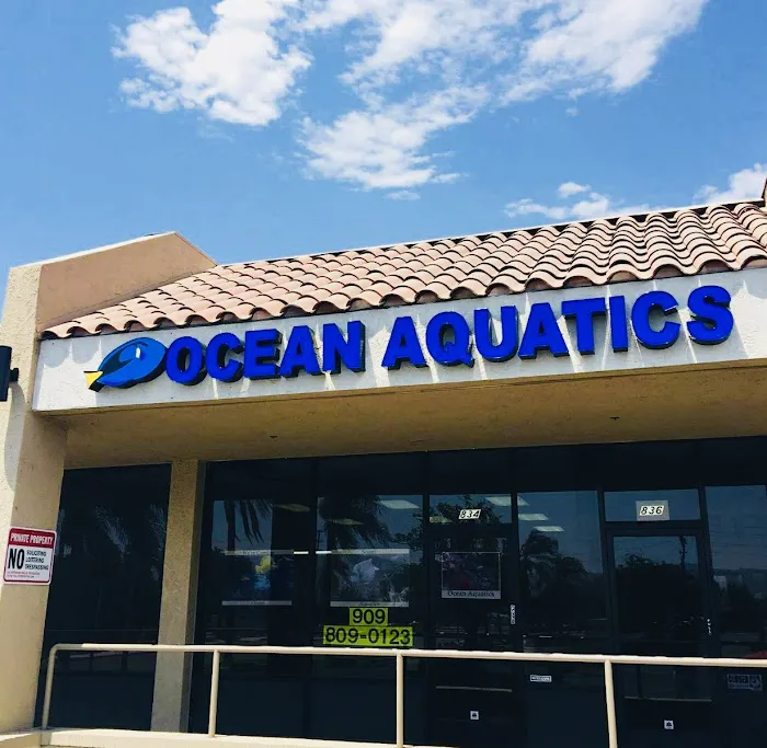Ocean Aquatics Picture 4