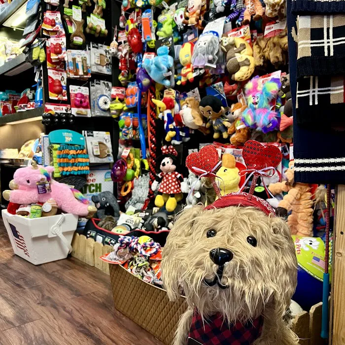 Pet Empire & Supplies Picture 6