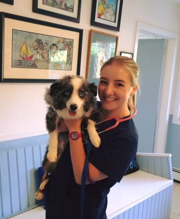 Westport Animal Hospital Picture 6