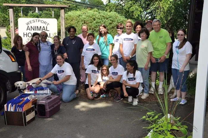 Westport Animal Hospital Picture 7