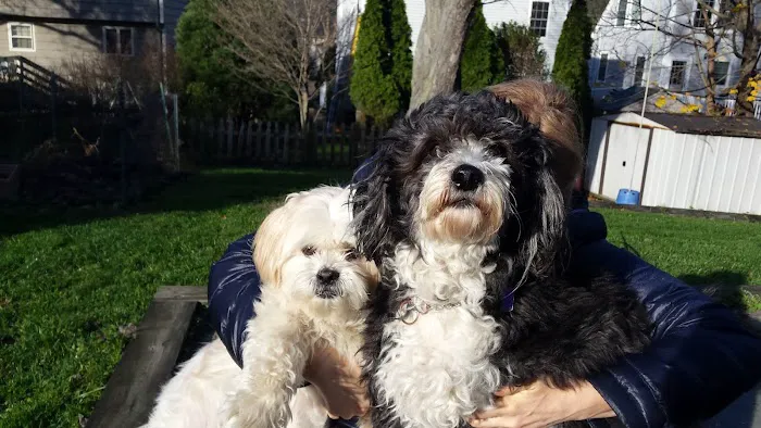 Westport Animal Hospital Picture 5