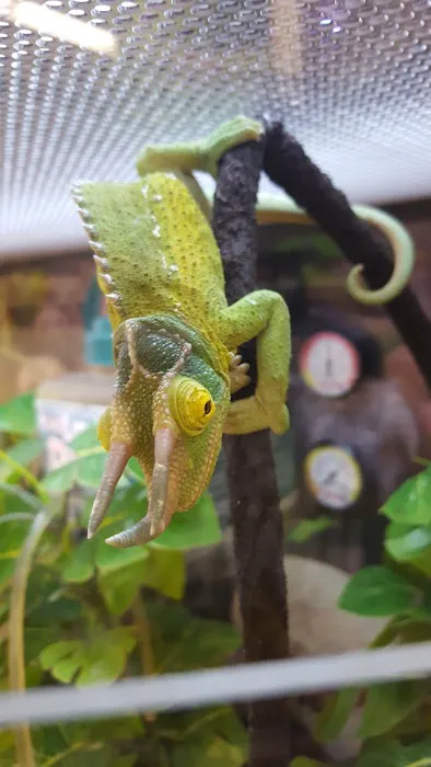 Petco Picture 4
