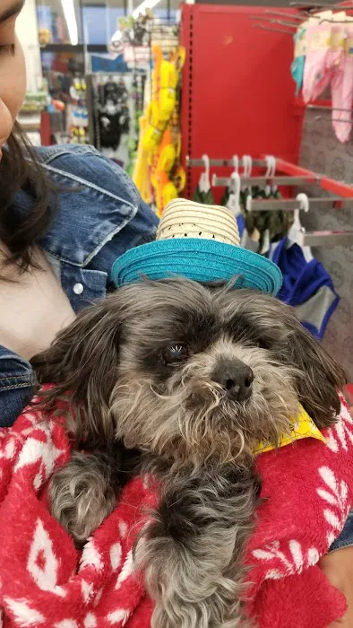 Petco Picture 3