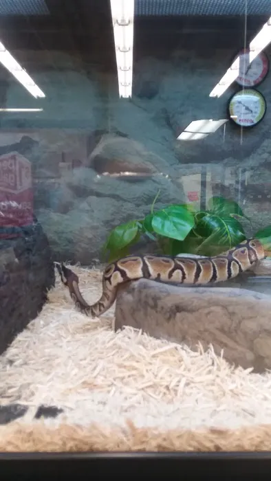 Petco Picture 8