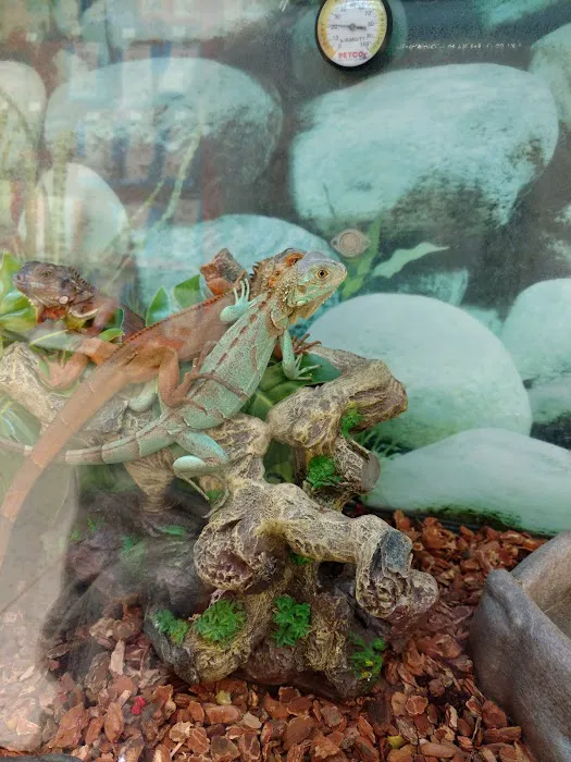Petco Picture 9