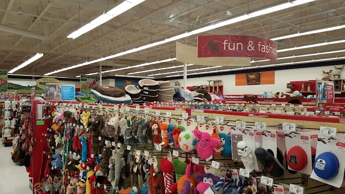 Petco Picture 2
