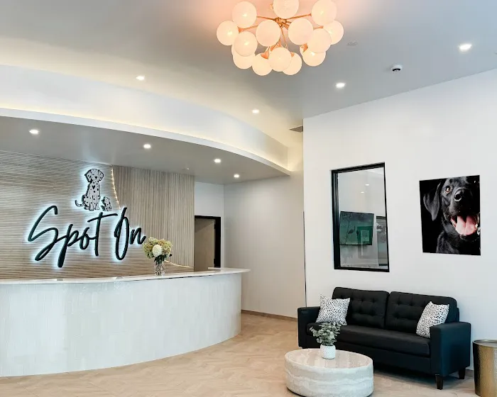 Spot On Veterinary Hospital - Westport Picture 1
