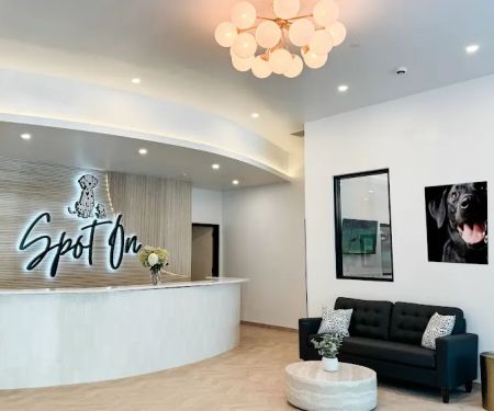 Spot On Veterinary Hospital - Westport