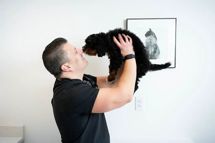 Spot On Veterinary Hospital - Westport Picture 6