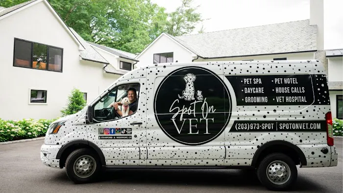 Spot On Veterinary Hospital - Westport Picture 2