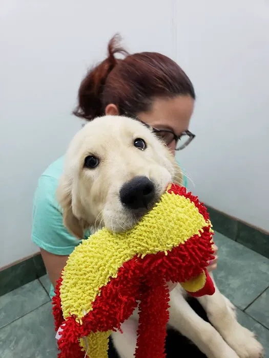 Greenfield Animal Hospital Picture 4