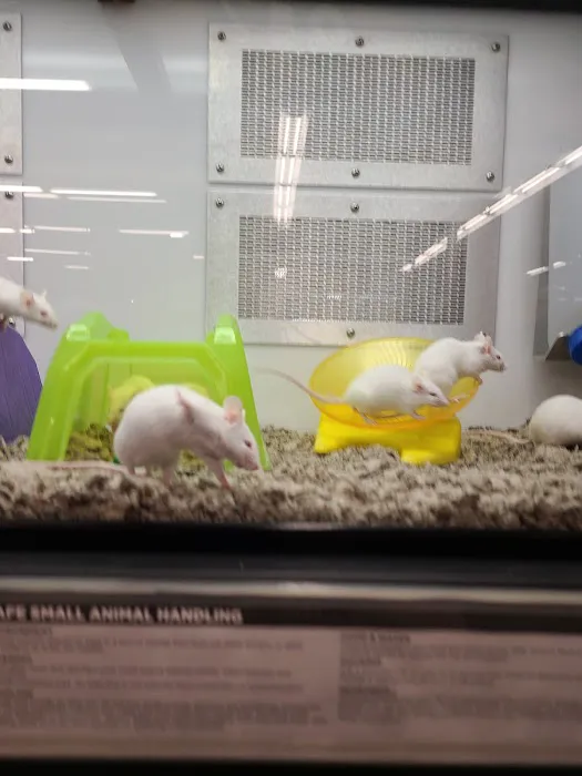 Petco Picture 8
